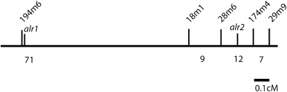 Figure 6.—