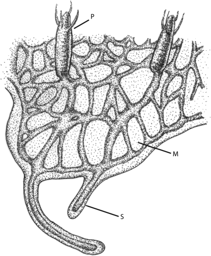 Figure 1.—