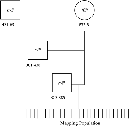 Figure 2.—