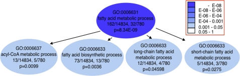 FIGURE 9.