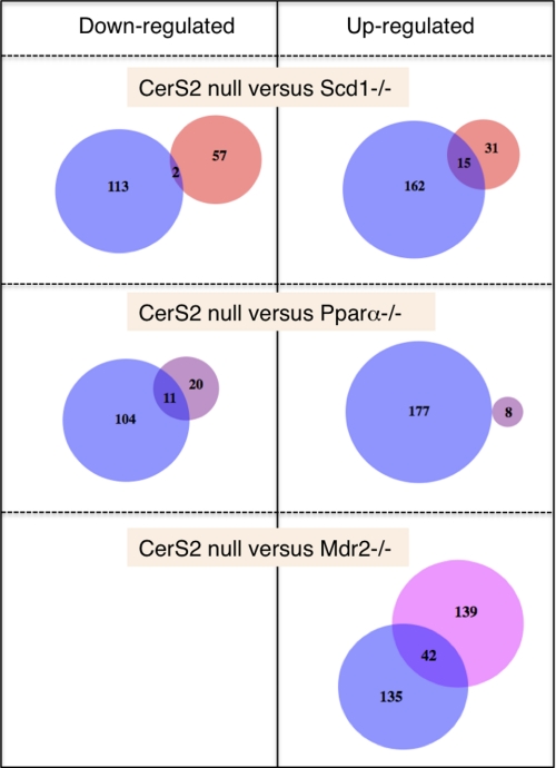 FIGURE 11.