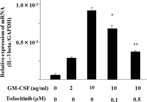 Fig. 10