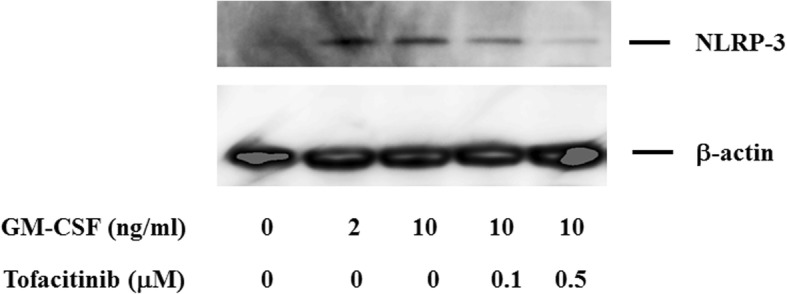 Fig. 11