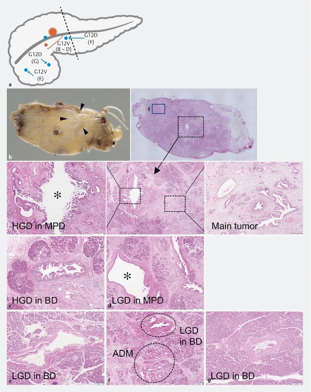 Fig. 3