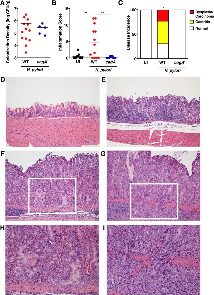 FIG 1