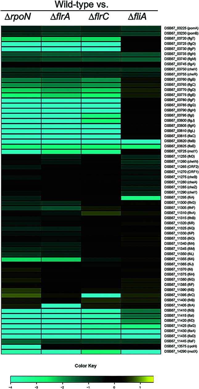 FIG 6