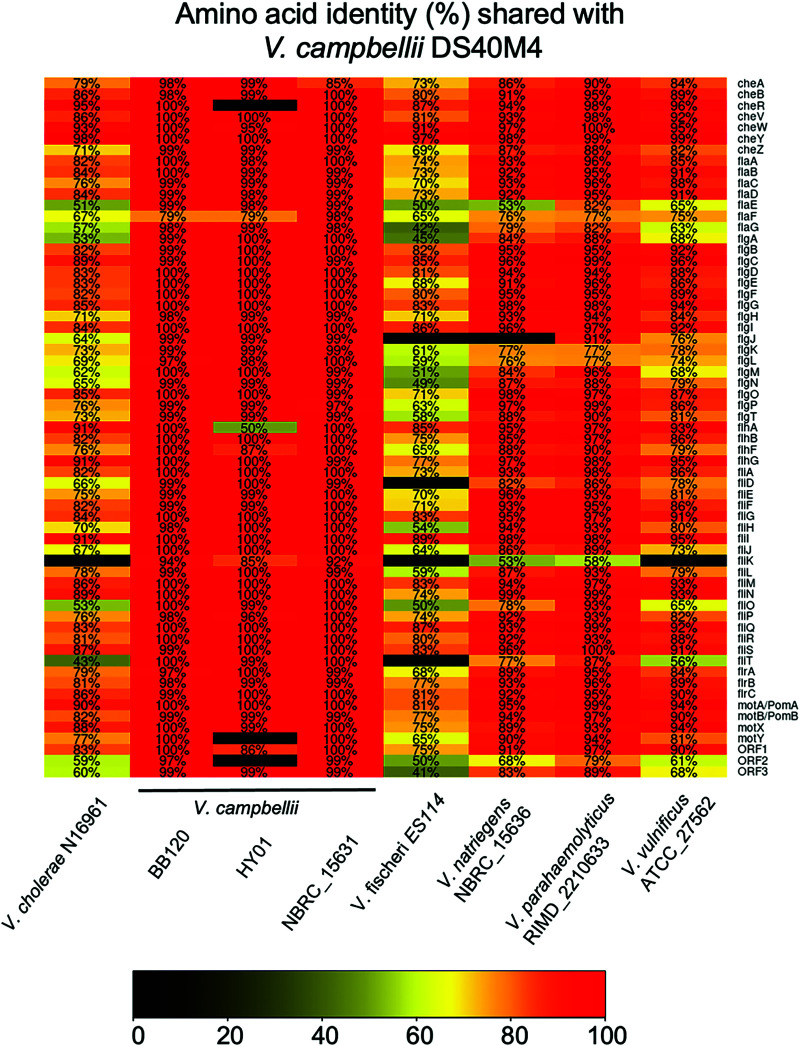 FIG 2