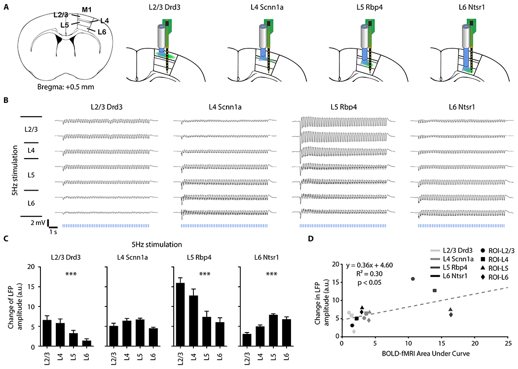 Figure 6: