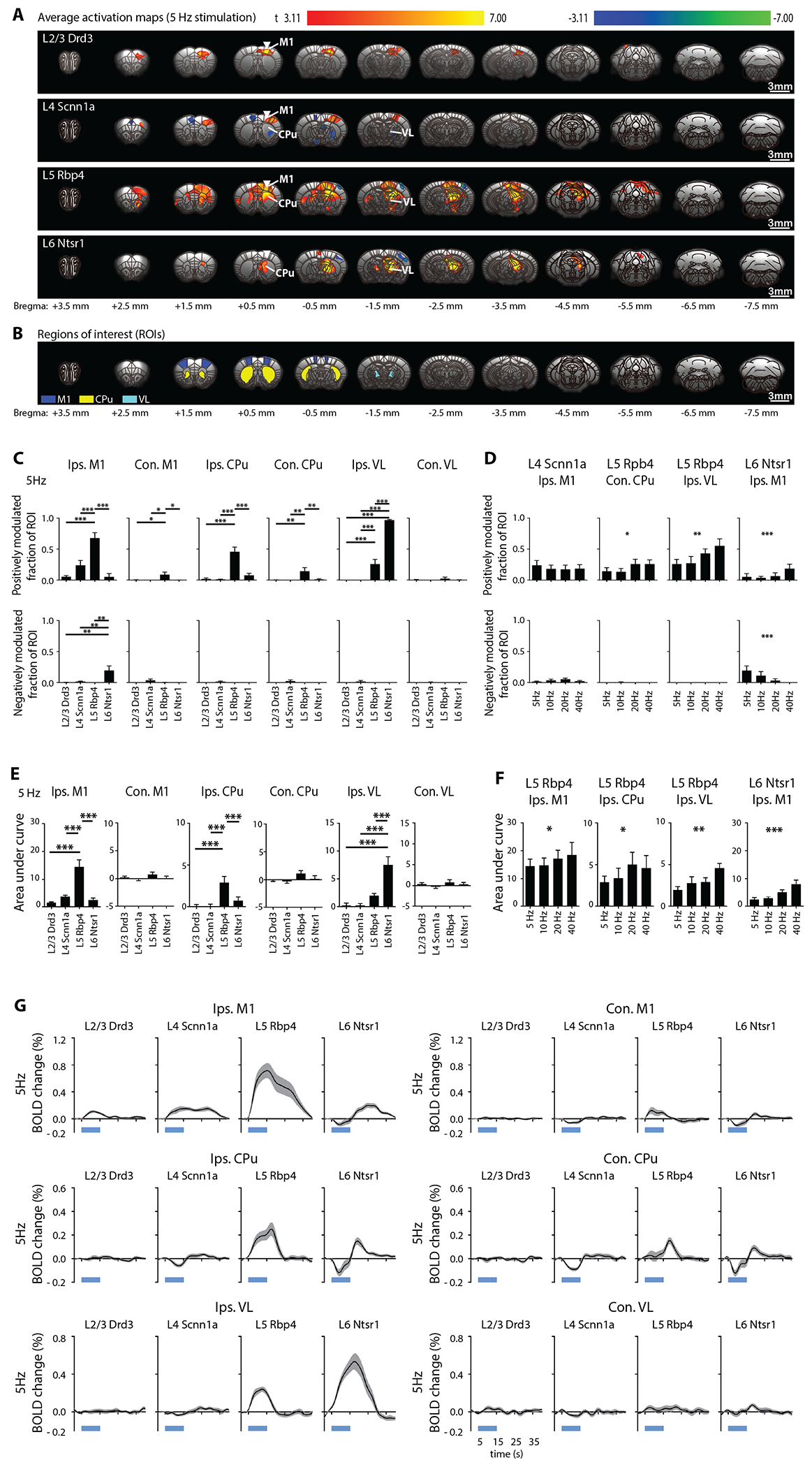 Figure 2: