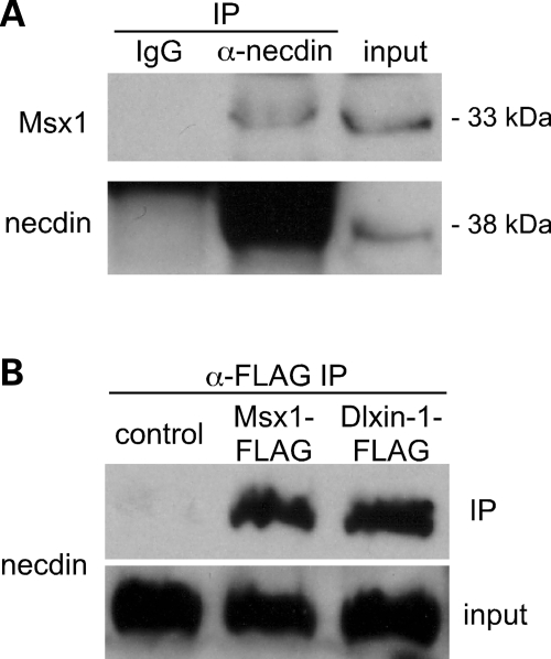 Figure 6.