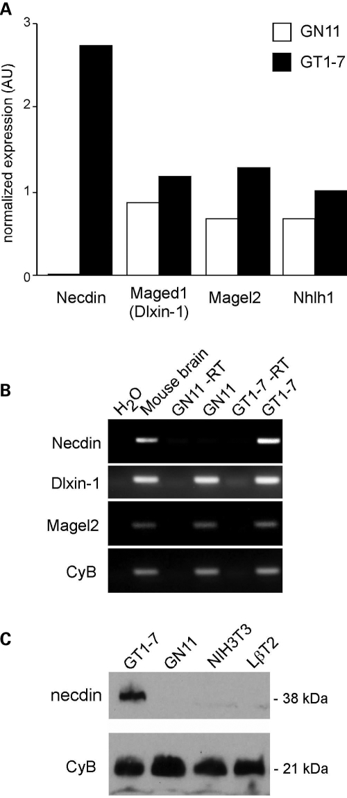 Figure 1.