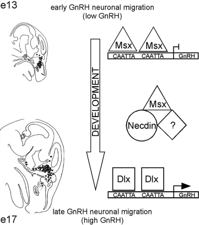 Figure 9.