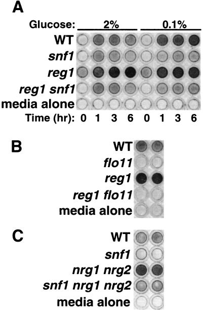 FIG. 3.