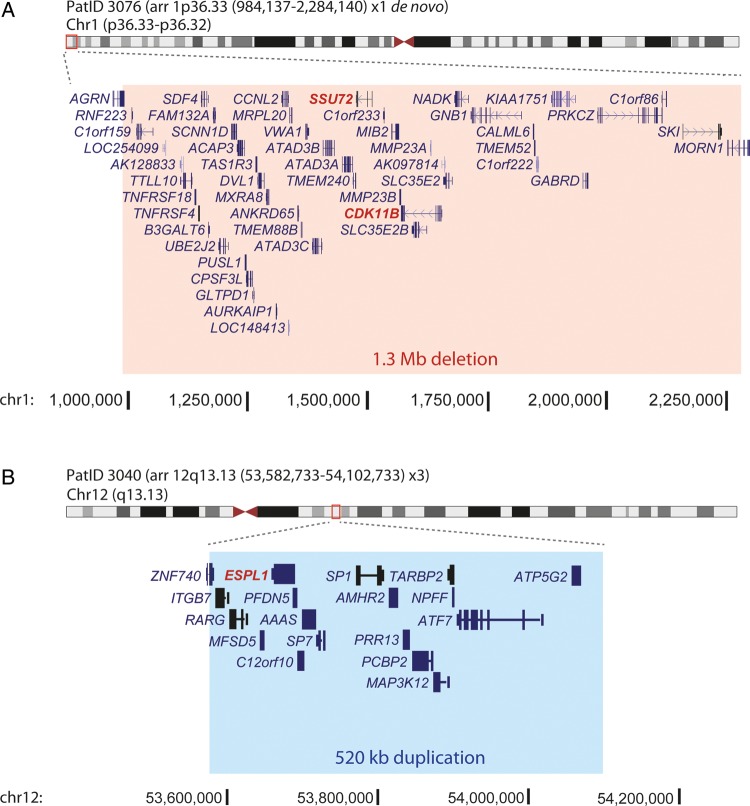 Figure 3