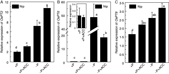 Fig. 7.