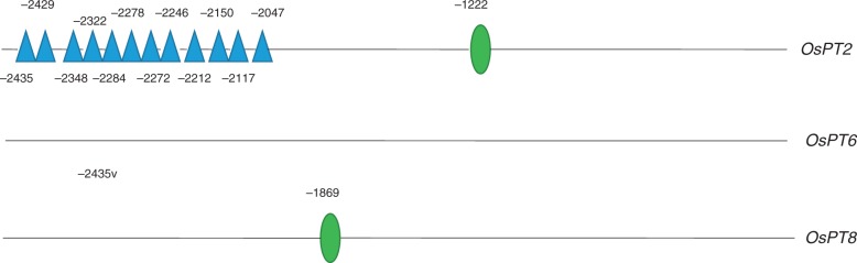 Fig. 8.