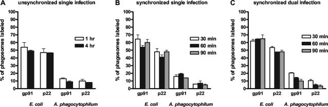 FIG. 7.