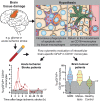 Graphical Abstract