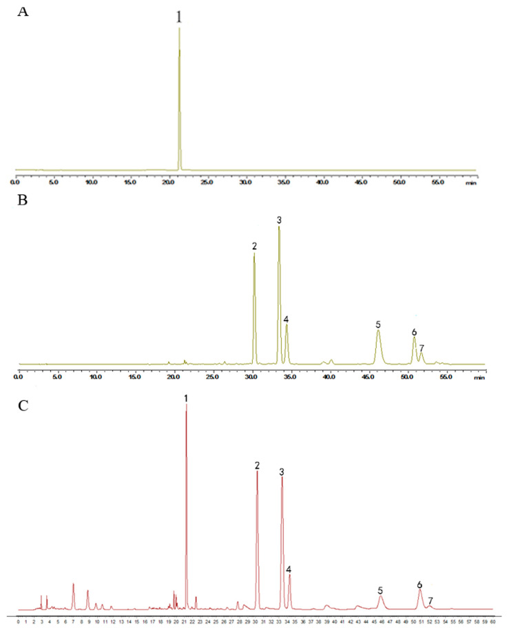 Figure 7