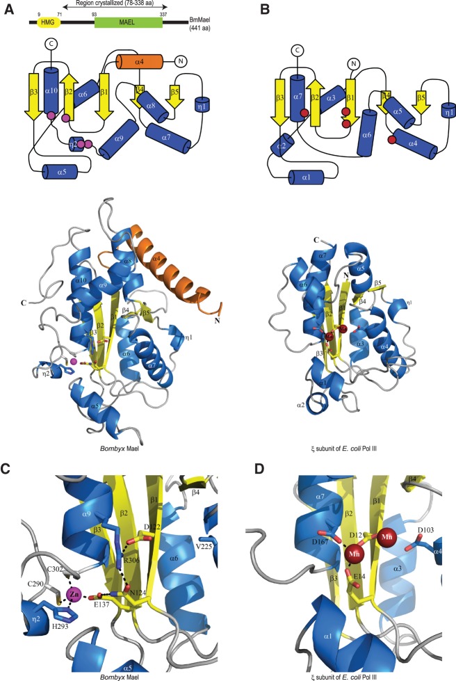 FIGURE 1.