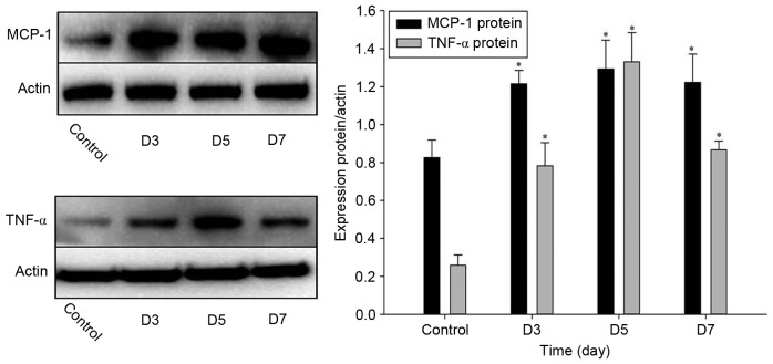 Figure 5.