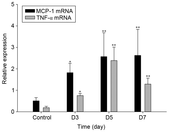 Figure 6.