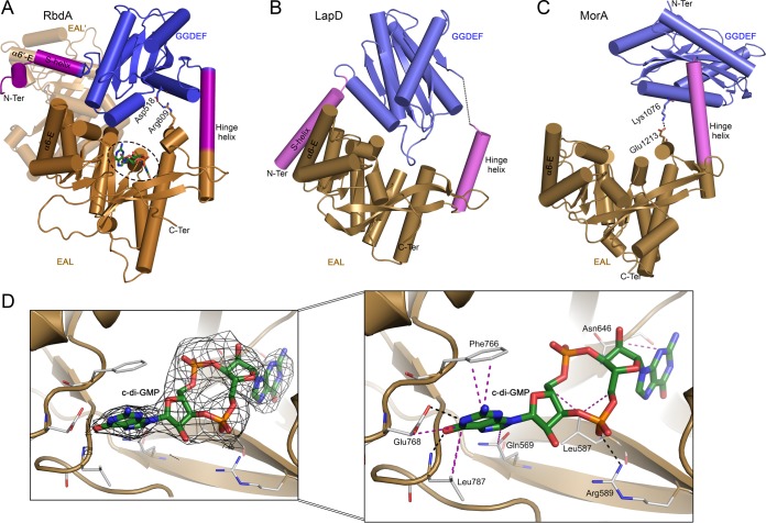 FIG 6