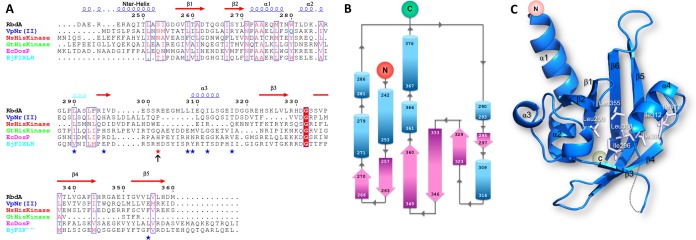 FIG 3