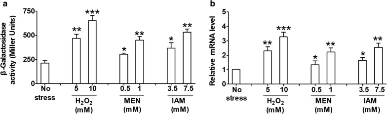 Fig. 6