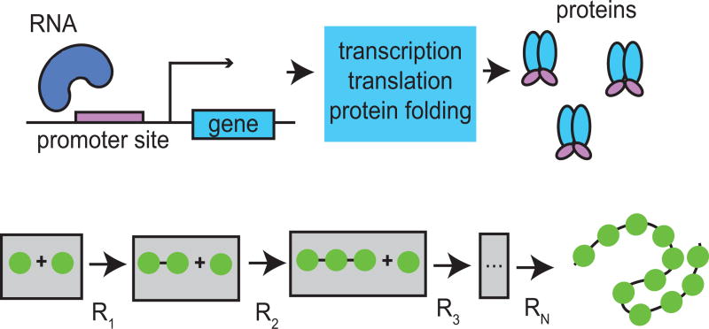 Figure 2.1