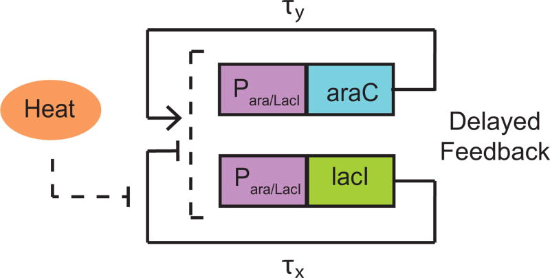 Figure 3.1