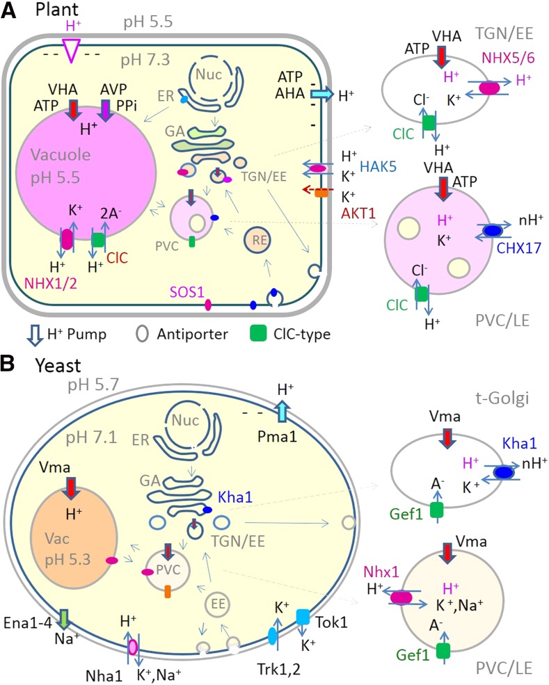 Figure 1.