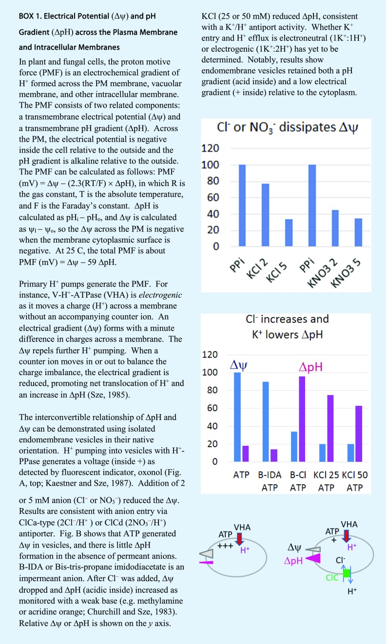 graphic file with name PP_201800142DR1_box1.jpg