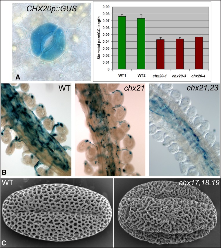 Figure 4.