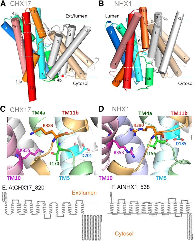 Figure 3.