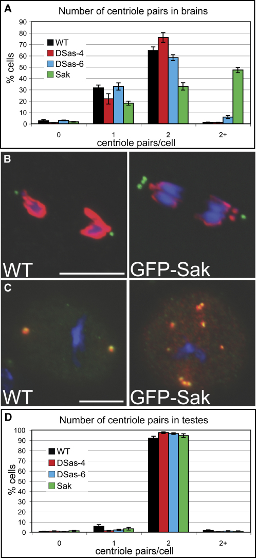 Figure 4