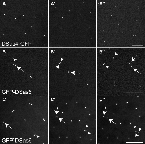 Figure 3