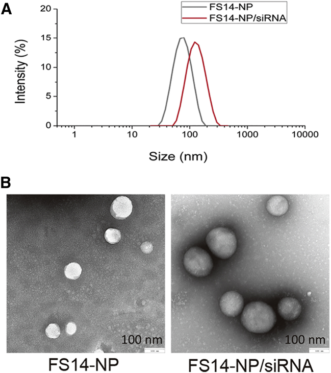 Figure 2