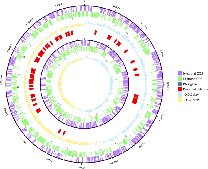 Fig. 3