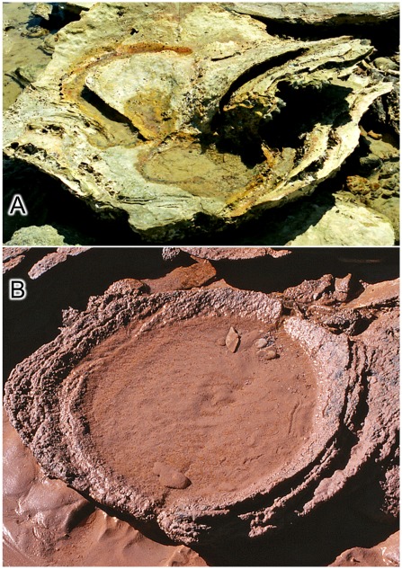 Figure 15