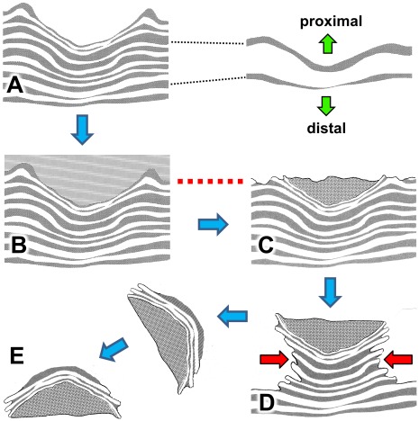 Figure 16