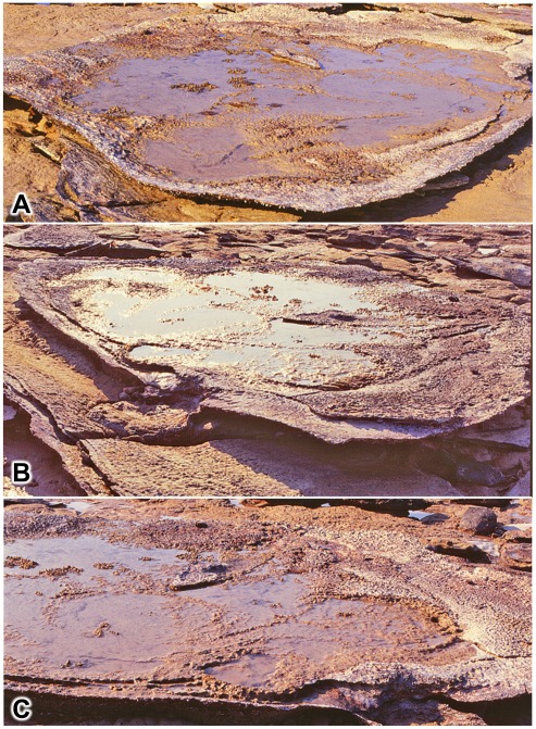 Figure 14