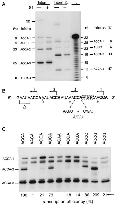 FIG. 3