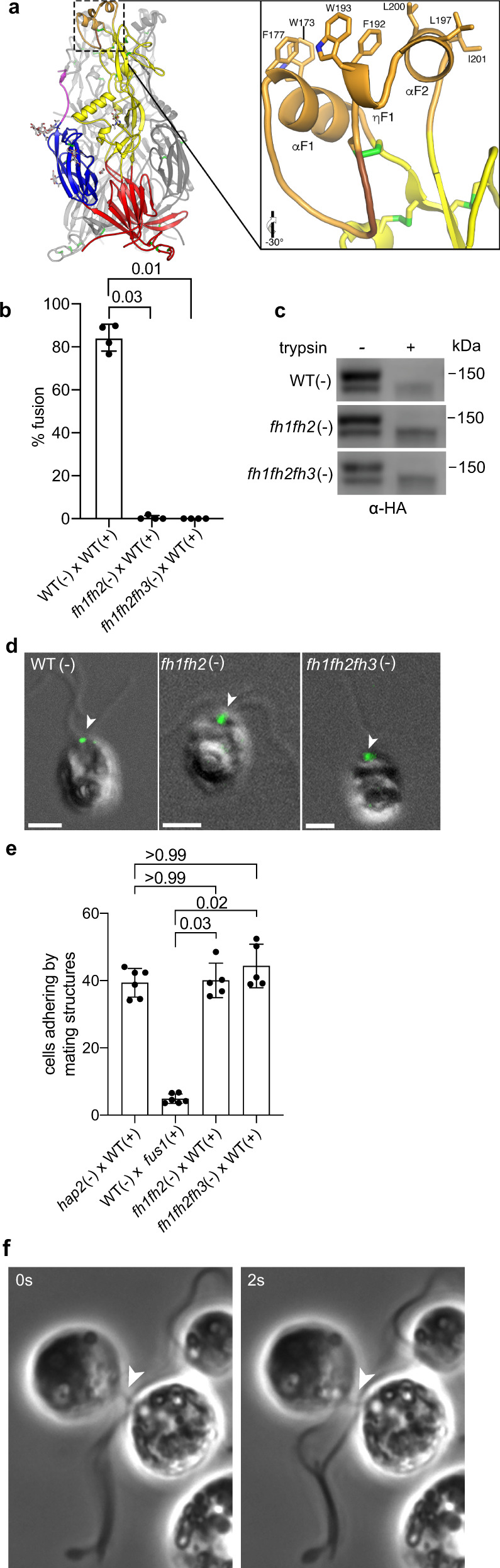 Fig. 4