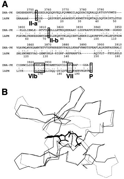 FIG. 5