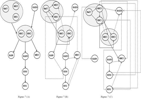 Figure 7