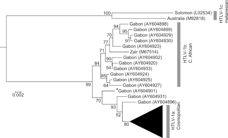 Fig. 1.