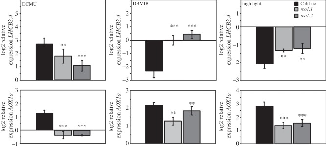 Figure 3.