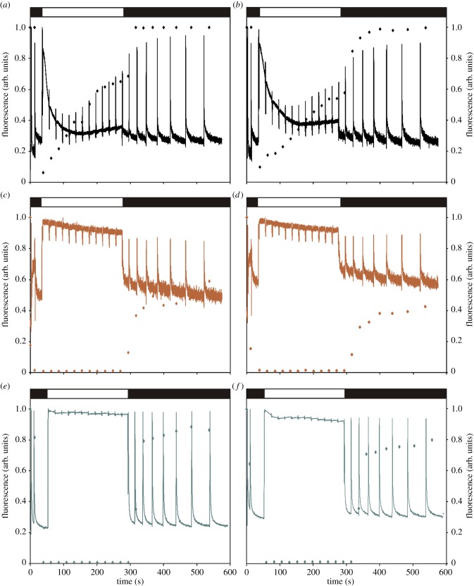 Figure 2.