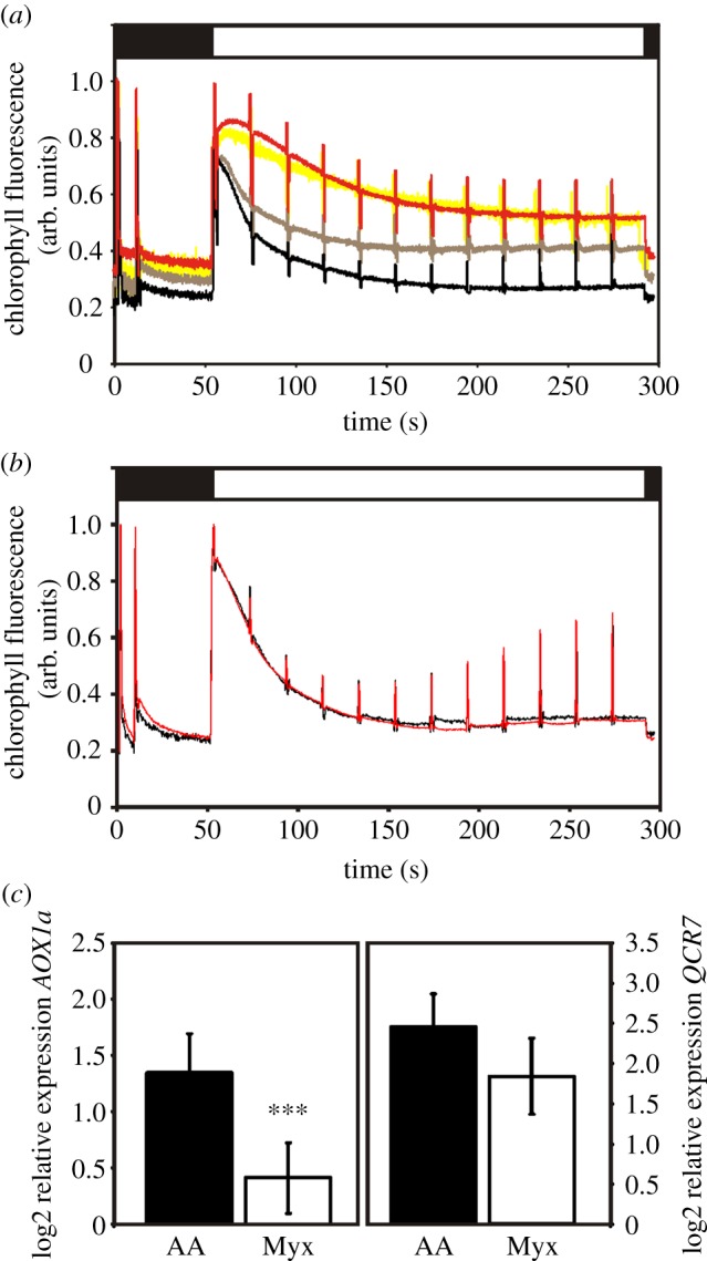 Figure 1.